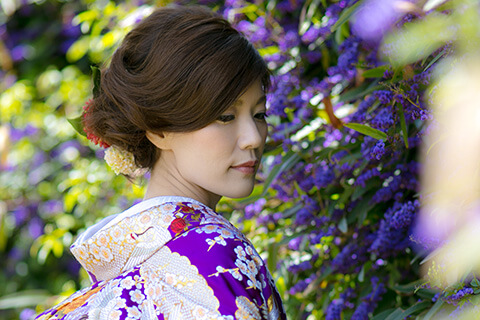 色打掛：献上梅鶴